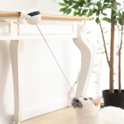 Cat ball automatic lifting toy