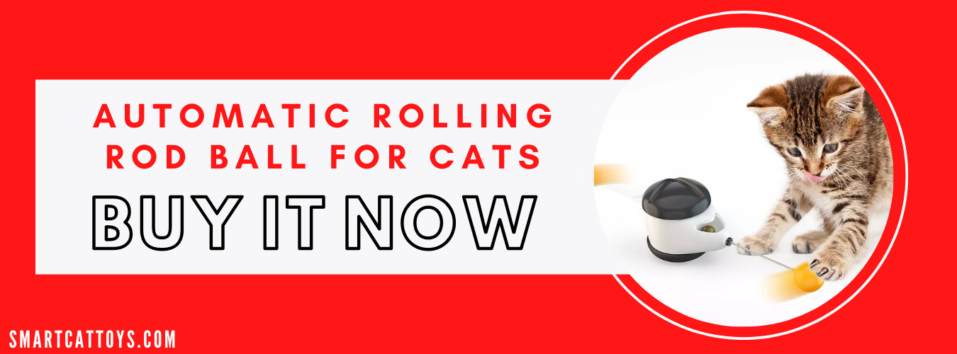 automatic rolling rod ball for cats buy now
