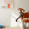 Luxury bird feather cat stick toy