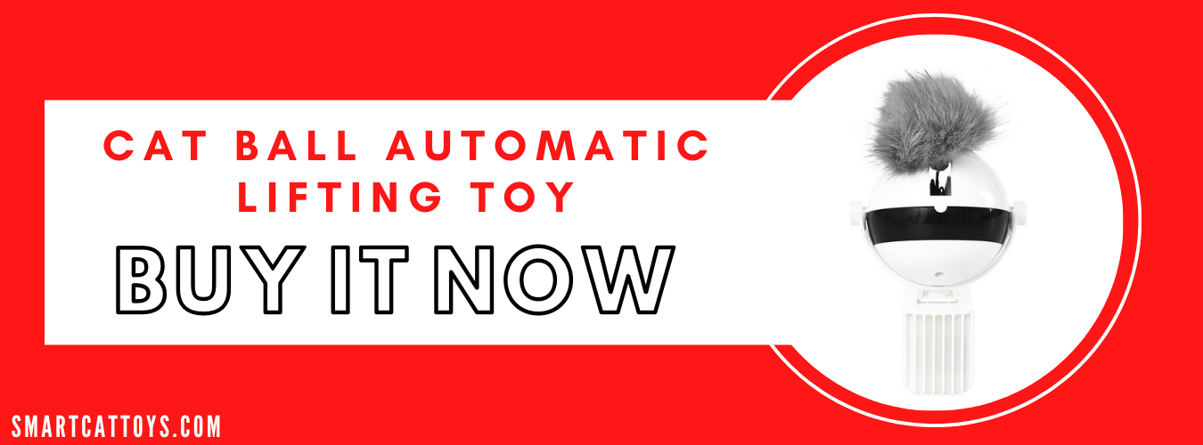 Cat ball automatic lifting toy - SMART CAT TOYS - SMARTCATTOYS.COM