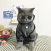 Badass fleece hoodie for cat - smart cat toys - marvelofficial.store