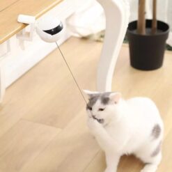 Alternative view of Cat ball automatic lifting toy