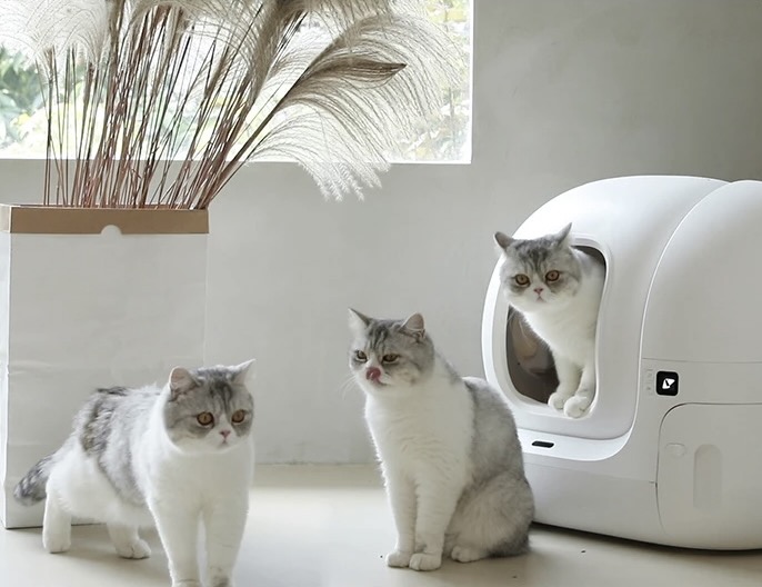 Multi cat Self cleaning cat litter Pura Max - smart cat toys - marvelofficial.store