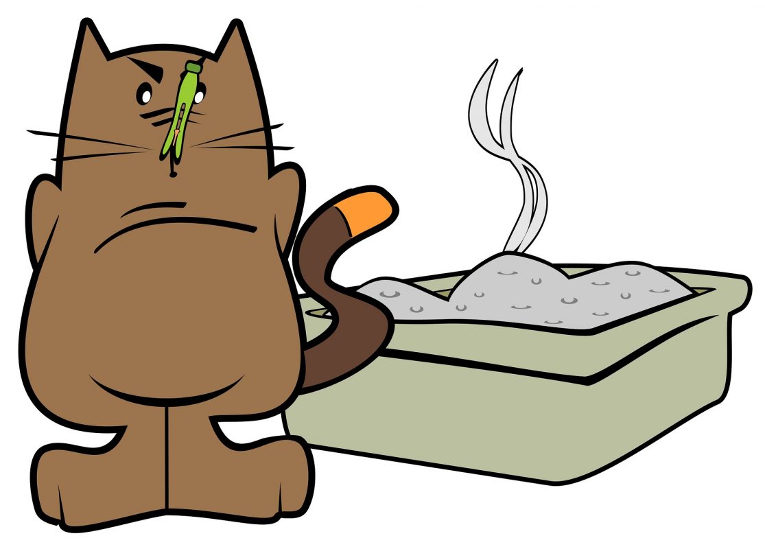 Can Cat Litter Make You Sick? The Dangers of Cat Litter