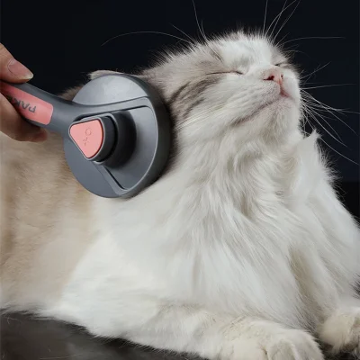 Cat hair brush remover