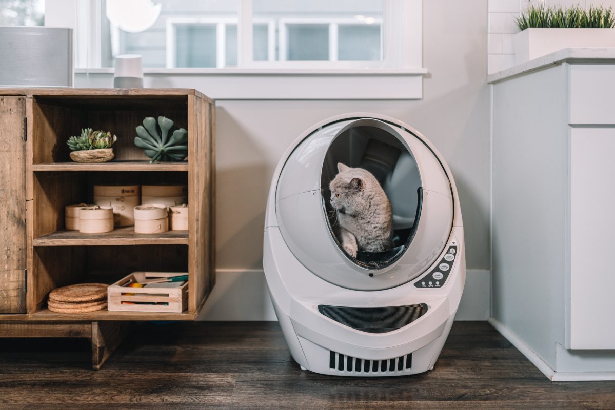 Litter Robot 3 - one of the modern but expensive choices in the self cleaning litter box world