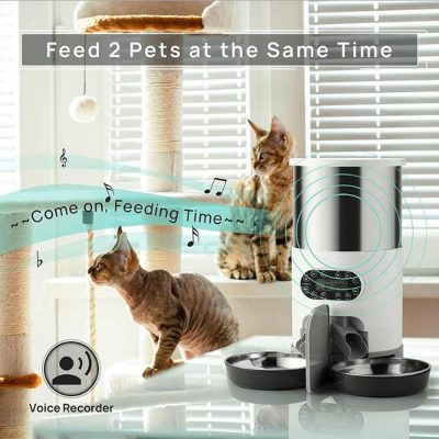 WiFi automatic cat feeder double bowl with voice recording - smart cat toys 