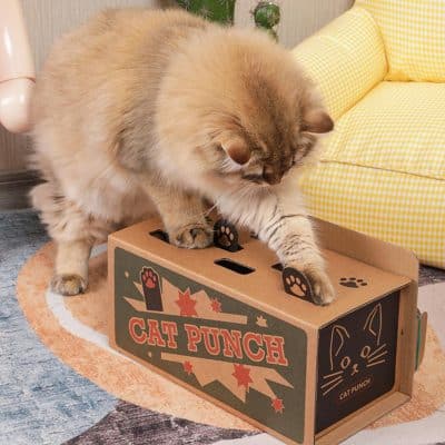 Kraft paper cat punch scratch - marvelofficial.store - smart cat toys