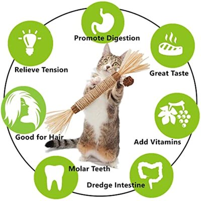 Silvervine cat tooth cleaning stick - smart cat toys - marvelofficial.store
