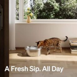 PETLIBRO Stainless Steel Cat Water Fountain – 3L/101oz Automatic Pet Dispenser with Filters - marvelofficial.store - best cat toys and cat accessories