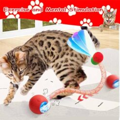 Smart Automatic Rolling Cat Toy Balls with Tail – Interactive Moving Toys (2 Pack) - marvelofficial.store - best cat toys and cat accessories