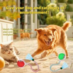 Smart Automatic Rolling Cat Toy Balls with Tail – Interactive Moving Toys (2 Pack) - marvelofficial.store - best cat toys and cat accessories