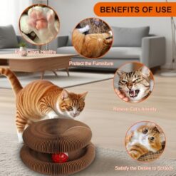 Foldable Reversible Toy for Indoor Cats - Accordion Cardboard Cat Scratcher with Bell Ball - marvelofficial.store - best cat toys and cat accessories