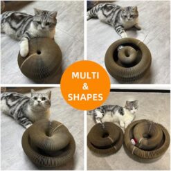 Foldable Reversible Toy for Indoor Cats - Accordion Cardboard Cat Scratcher with Bell Ball - marvelofficial.store - best cat toys and cat accessories